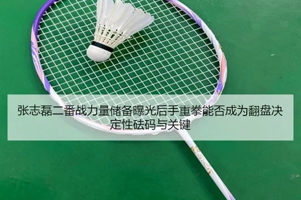 张志磊二番战力量储备曝光后手重拳能否成为翻盘决定性砝码与关键
